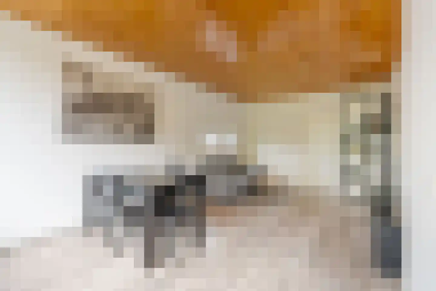 Julianaplantsoen 246 Diemen thumbnail 25