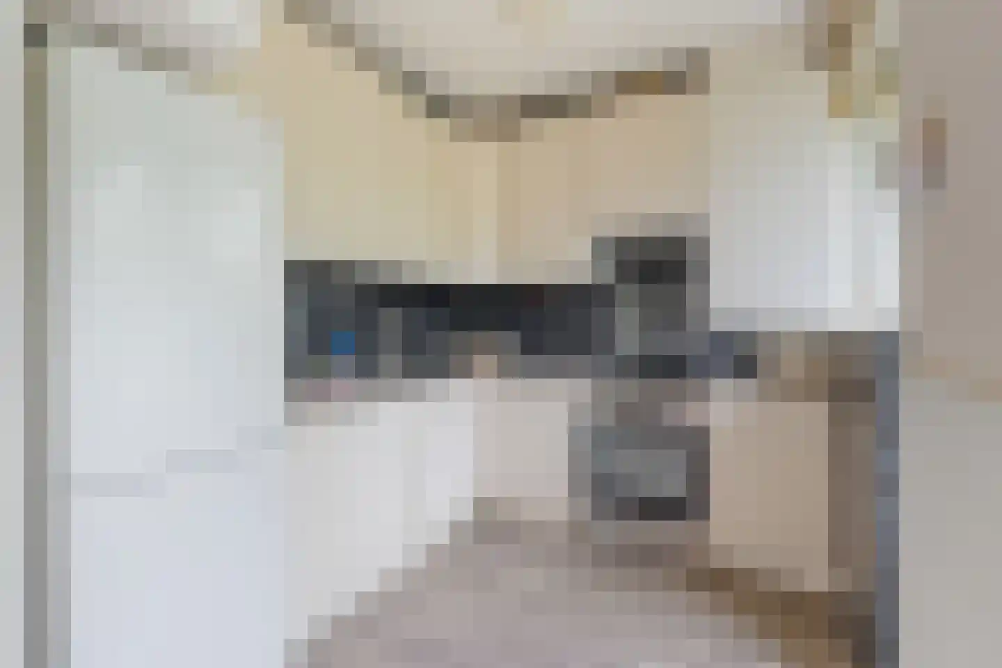 Julianaplantsoen 246 Diemen thumbnail 29
