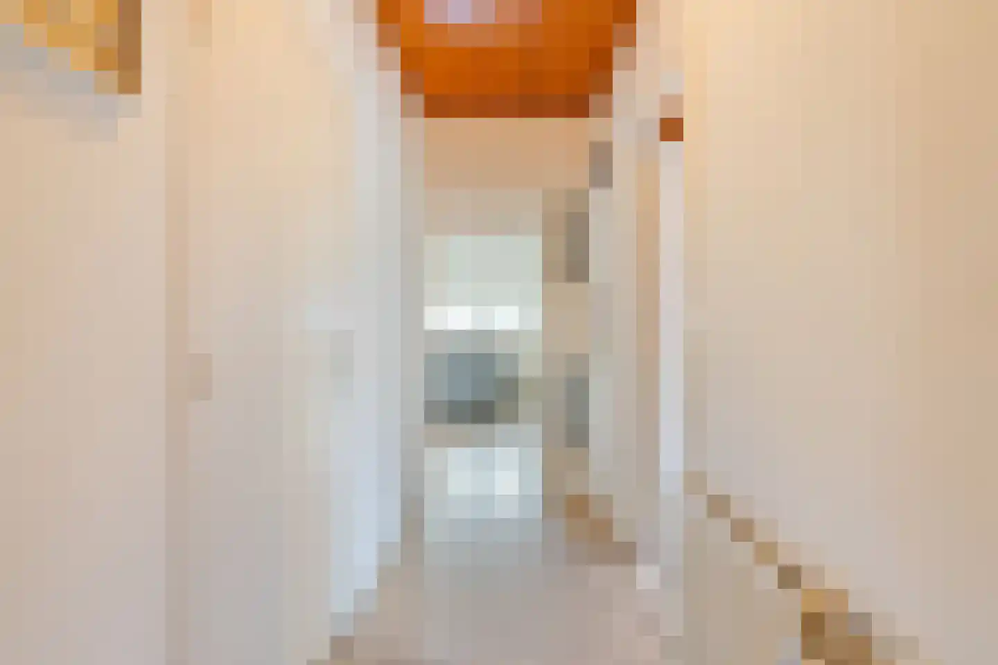 Julianaplantsoen 246 Diemen thumbnail 9