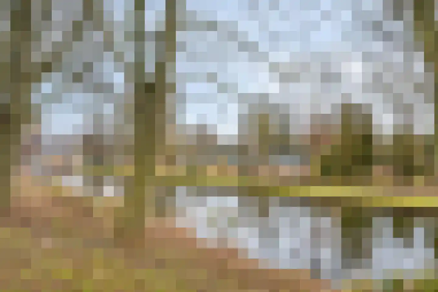 Julianaplantsoen 252 Diemen thumbnail 24
