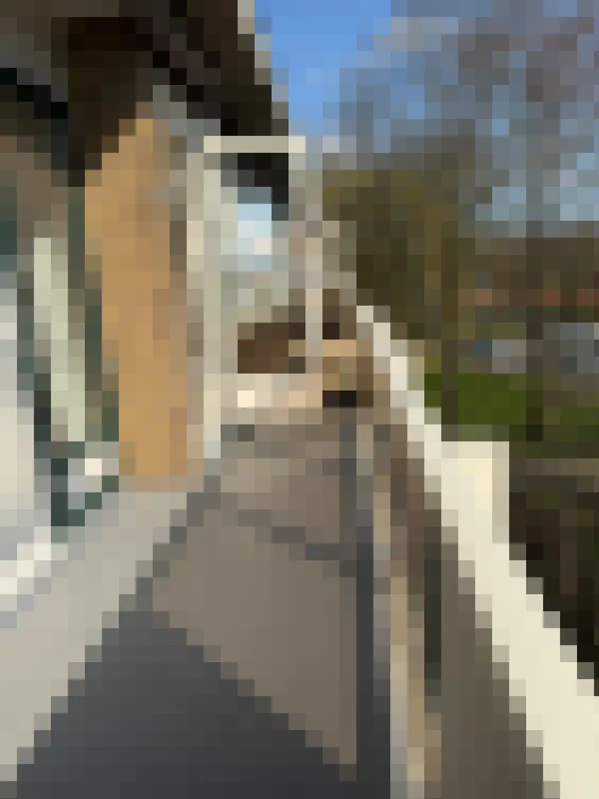 Julianaplantsoen 252 Diemen thumbnail 5