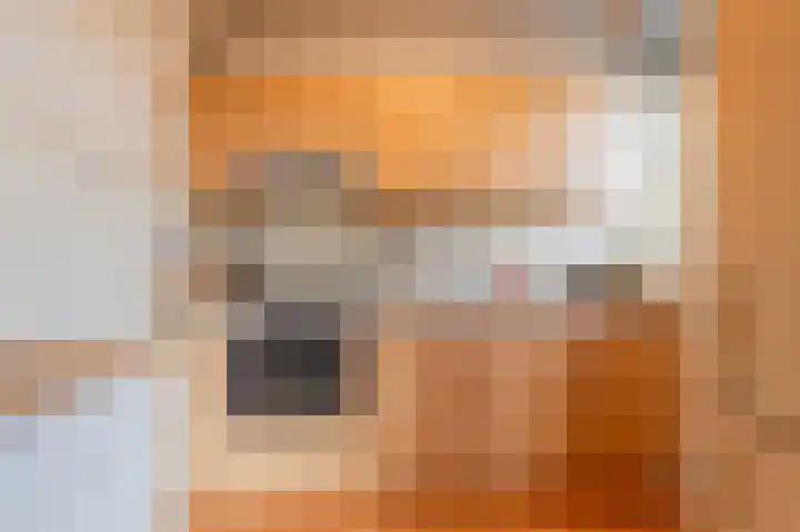 Julianaplantsoen 257 Diemen thumbnail 13