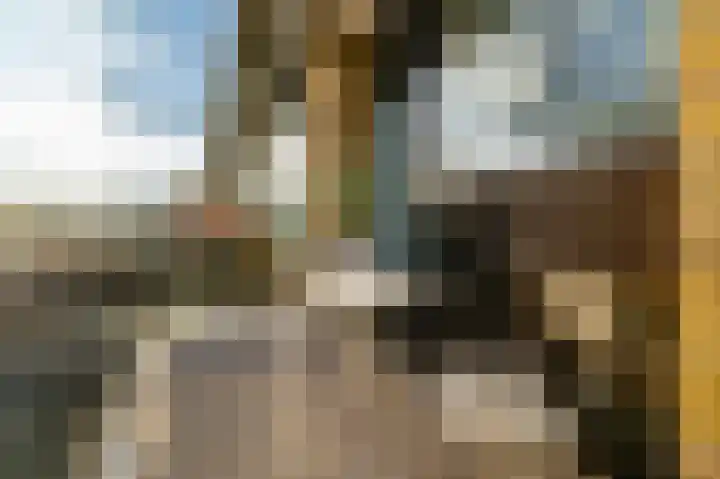 Julianaplantsoen 257 Diemen thumbnail 17
