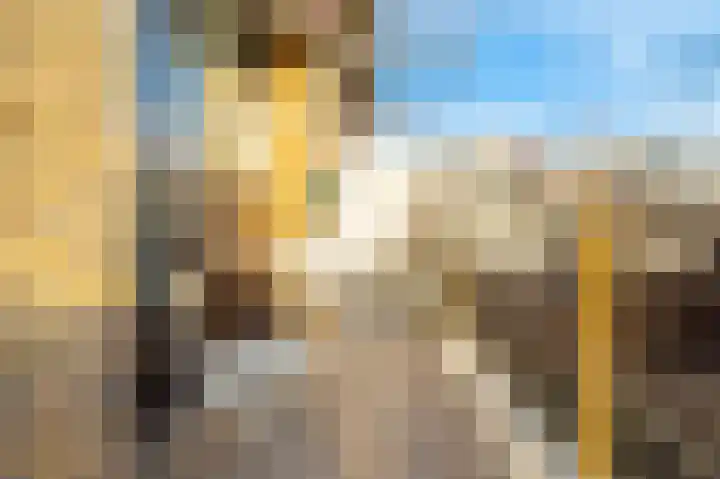 Julianaplantsoen 257 Diemen thumbnail 18