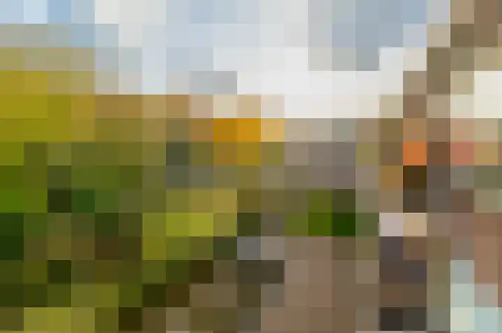 Julianaplantsoen 257 Diemen thumbnail 20