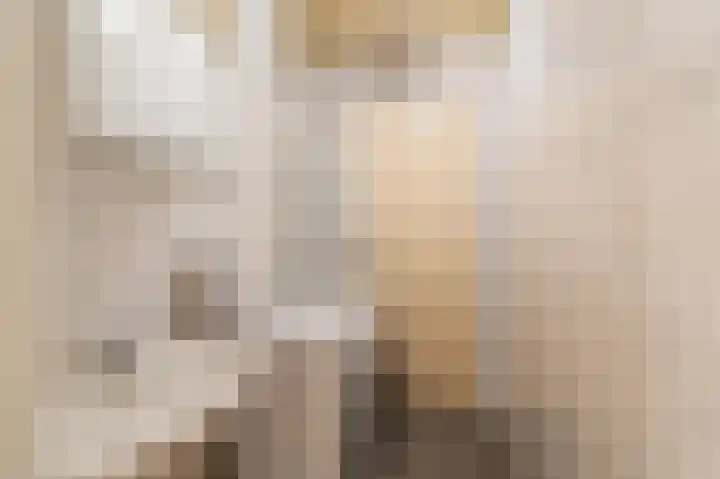 Julianaplantsoen 257 Diemen thumbnail 28