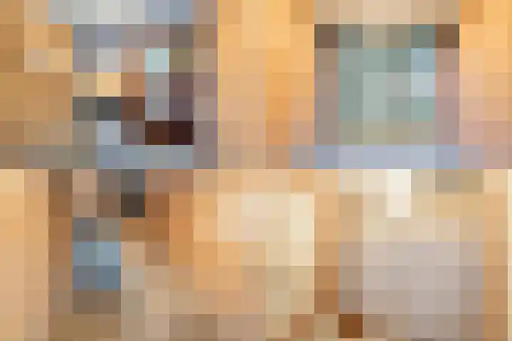 Julianaplantsoen 257 Diemen thumbnail 33