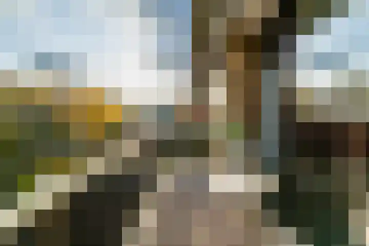 Julianaplantsoen 257 Diemen thumbnail 4