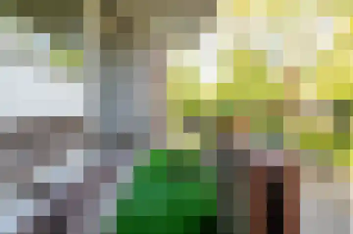 Julianaplantsoen 26 Diemen thumbnail 18