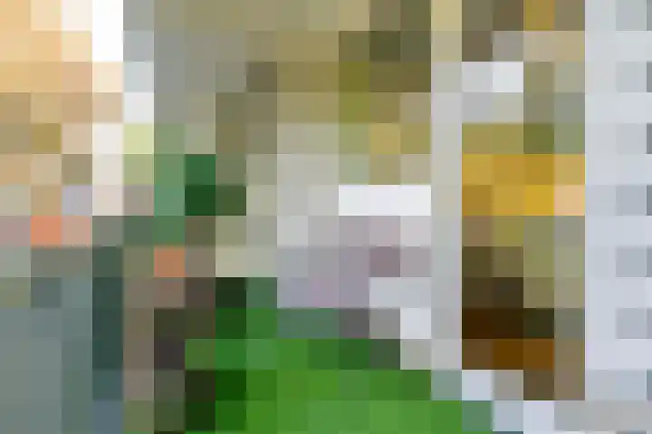 Julianaplantsoen 26 Diemen thumbnail 19