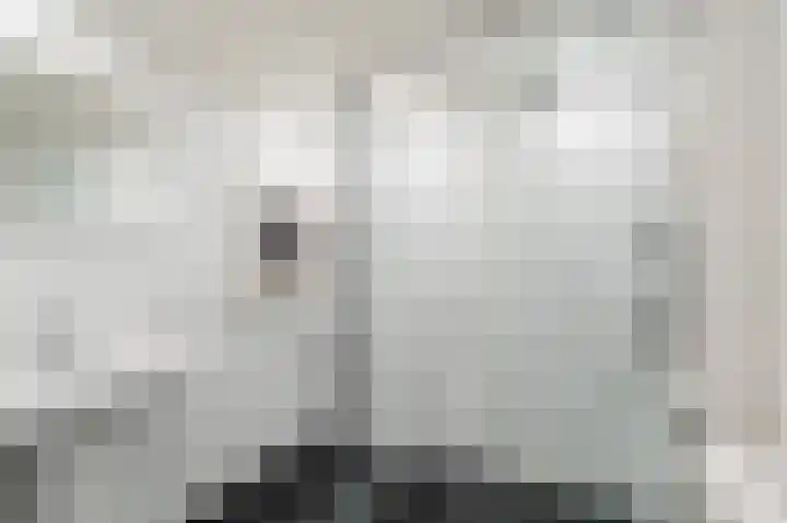 Julianaplantsoen 26 Diemen thumbnail 25