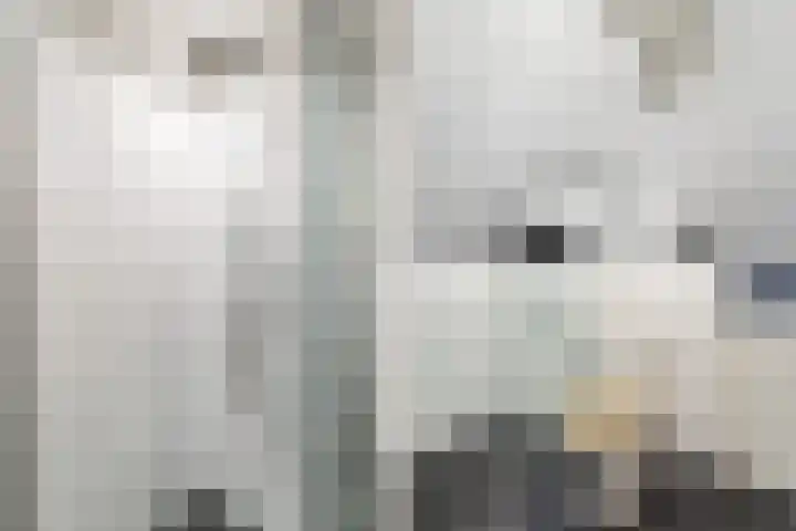 Julianaplantsoen 26 Diemen thumbnail 26