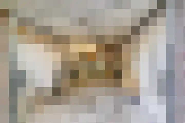 Julianaplantsoen 26 Diemen thumbnail 28