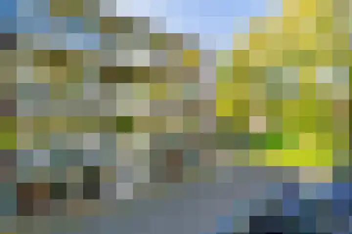 Julianaplantsoen 26 Diemen thumbnail 31