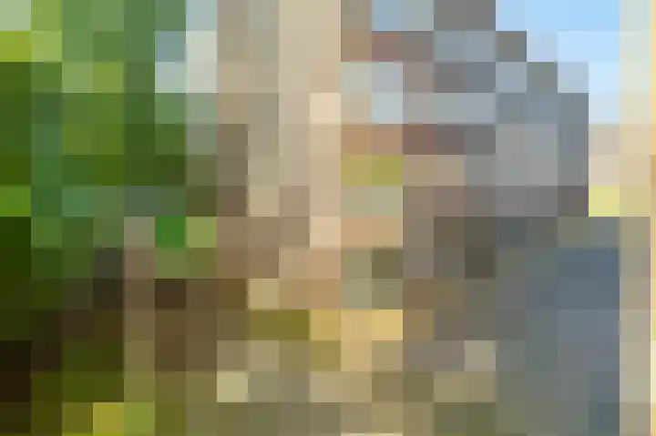 Julianaplantsoen 26 Diemen thumbnail 32