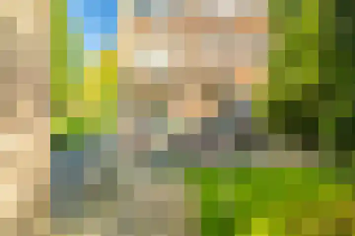 Julianaplantsoen 26 Diemen thumbnail 33