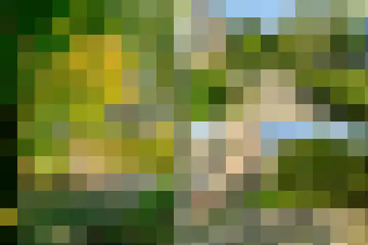 Julianaplantsoen 26 Diemen thumbnail 37