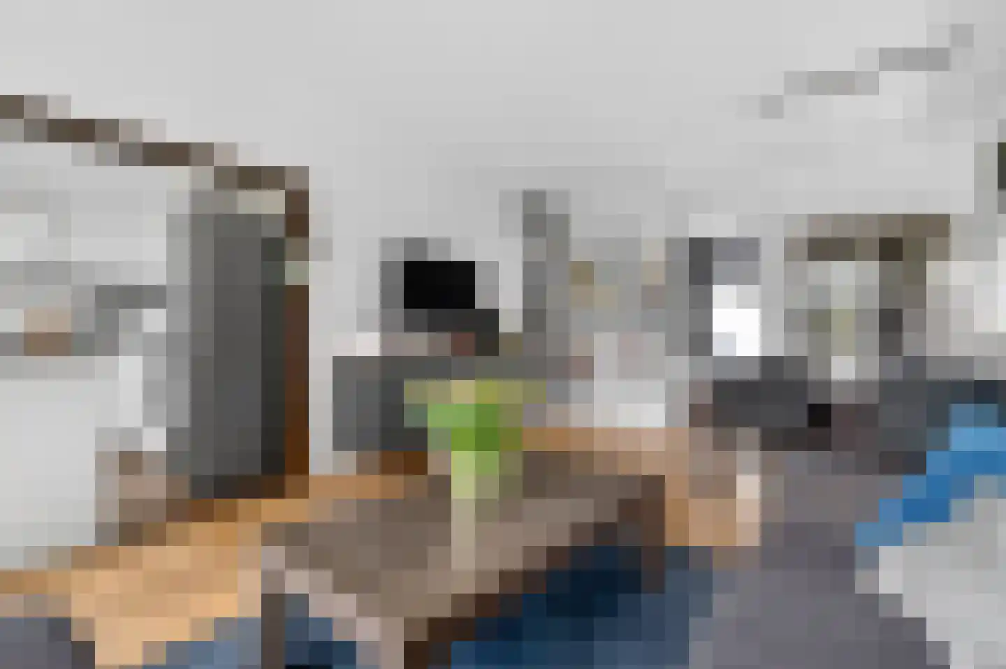 Julianaplantsoen 264 Diemen thumbnail 14