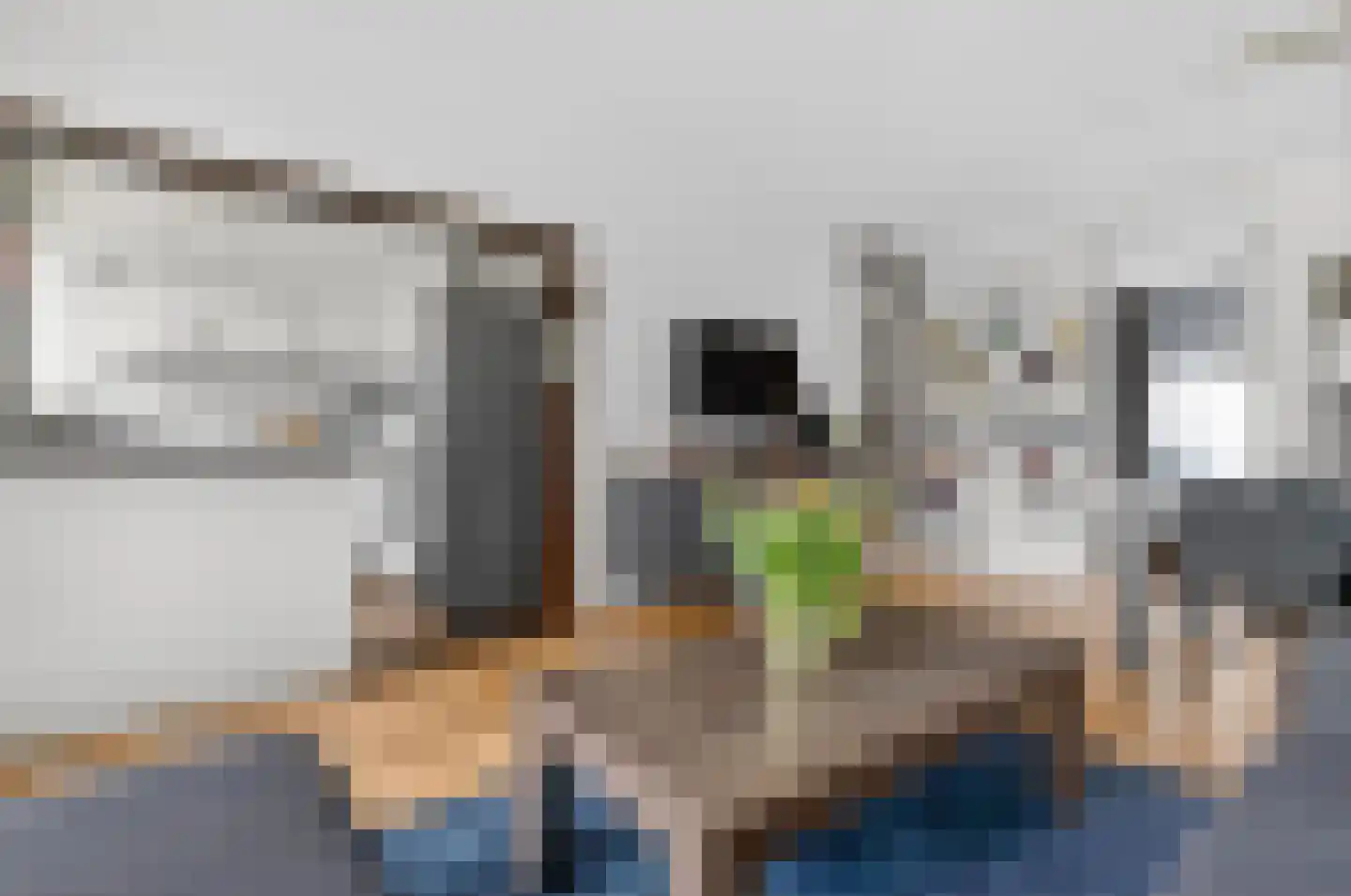 Julianaplantsoen 264 Diemen thumbnail 15