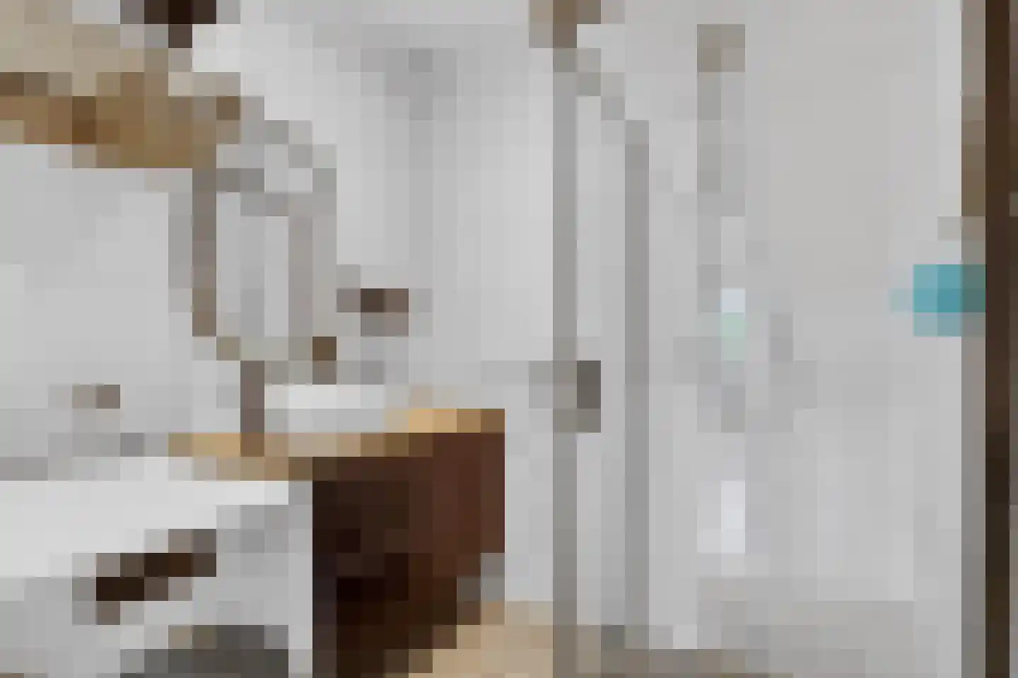 Julianaplantsoen 264 Diemen thumbnail 23