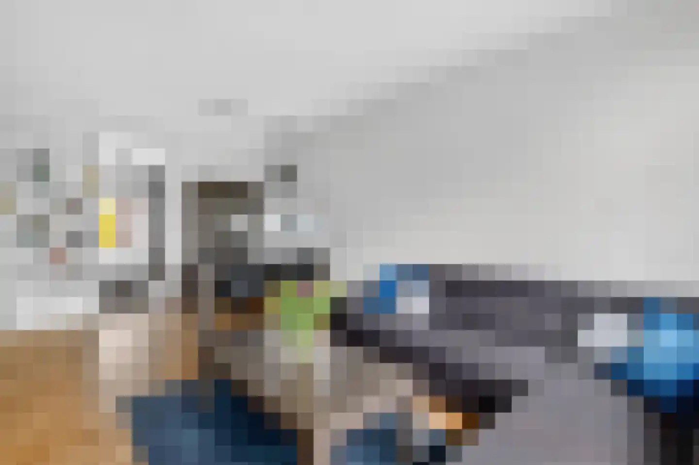 Julianaplantsoen 264 Diemen thumbnail 24