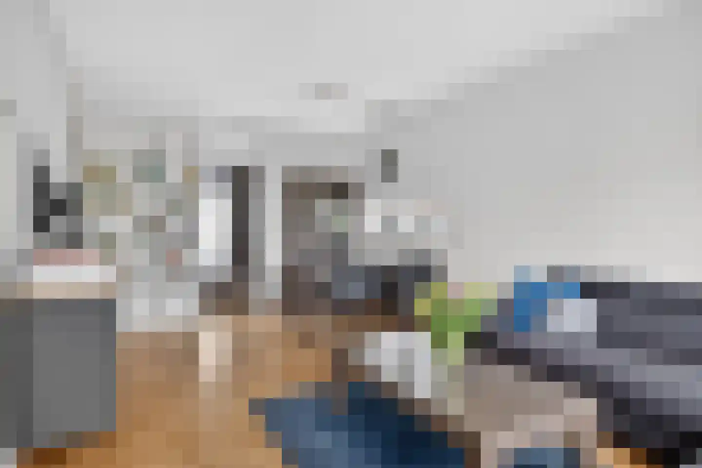 Julianaplantsoen 264 Diemen thumbnail 9