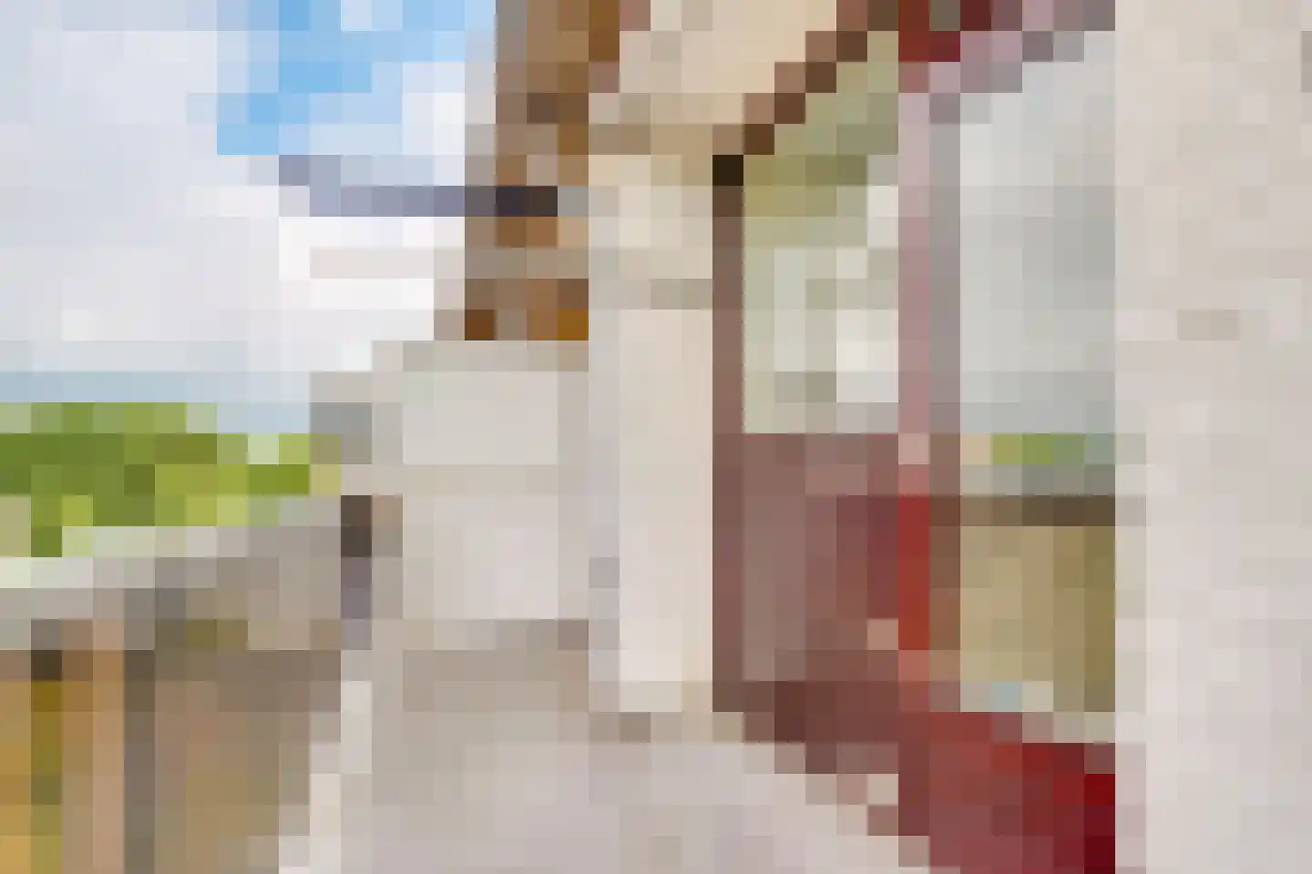 Julianaplantsoen 279 Diemen thumbnail 17