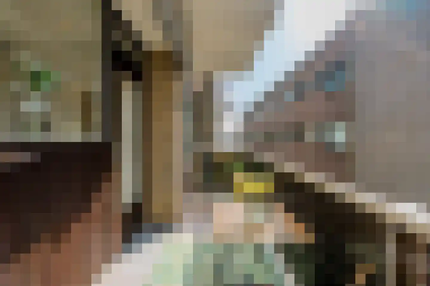 Julianaplantsoen 291 Diemen thumbnail 29