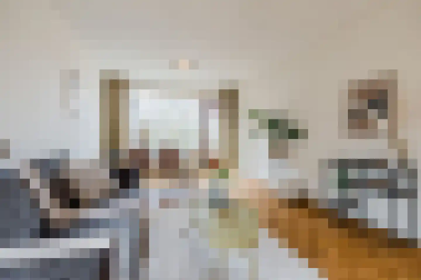 Julianaplantsoen 291 Diemen thumbnail 7