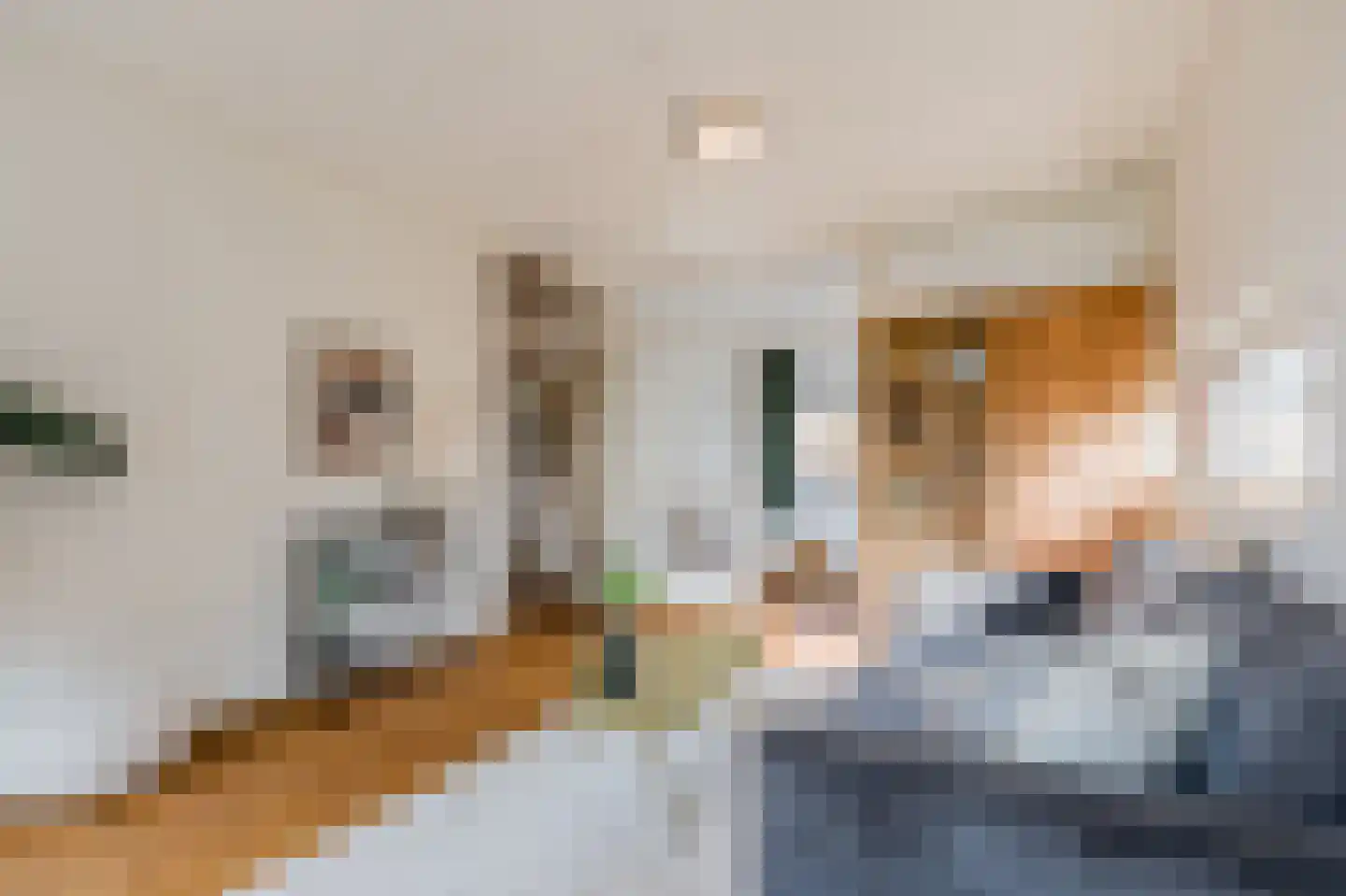 Julianaplantsoen 291 Diemen thumbnail 8