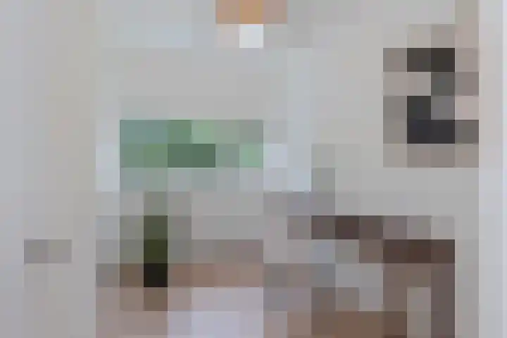 Julianaplantsoen 32 Diemen thumbnail 18