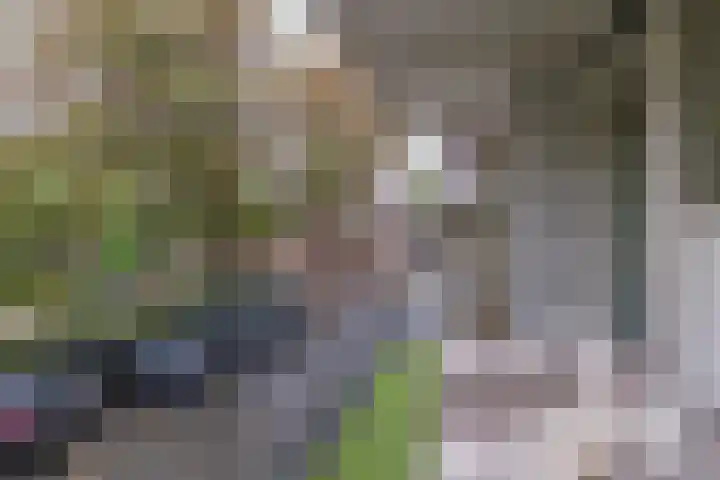 Julianaplantsoen 32 Diemen thumbnail 28