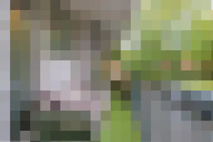 Julianaplantsoen 32 Diemen thumbnail 4