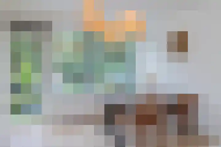 Julianaplantsoen 32 Diemen thumbnail 7