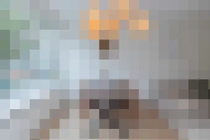 Julianaplantsoen 32 Diemen thumbnail 8