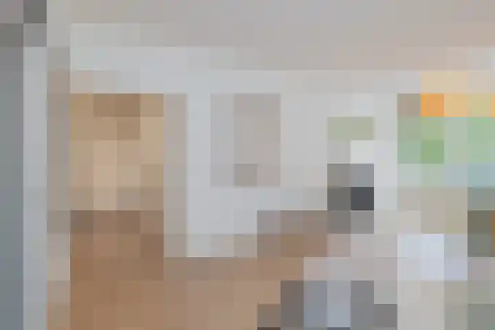 Julianaplantsoen 32 Diemen thumbnail 9