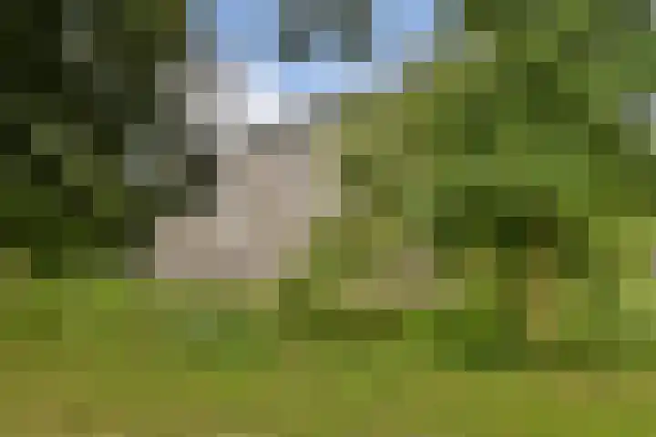 Julianaplantsoen 35 Diemen thumbnail 10