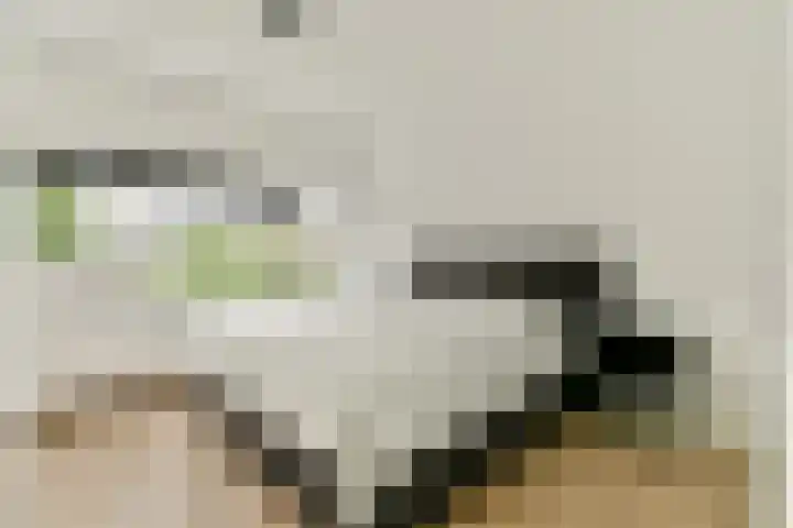 Julianaplantsoen 35 Diemen thumbnail 14