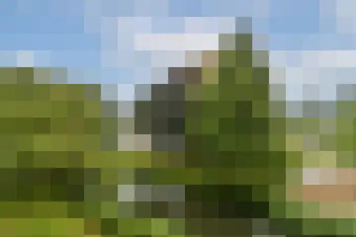 Julianaplantsoen 35 Diemen thumbnail 21