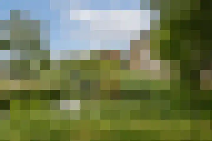 Julianaplantsoen 35 Diemen thumbnail 22