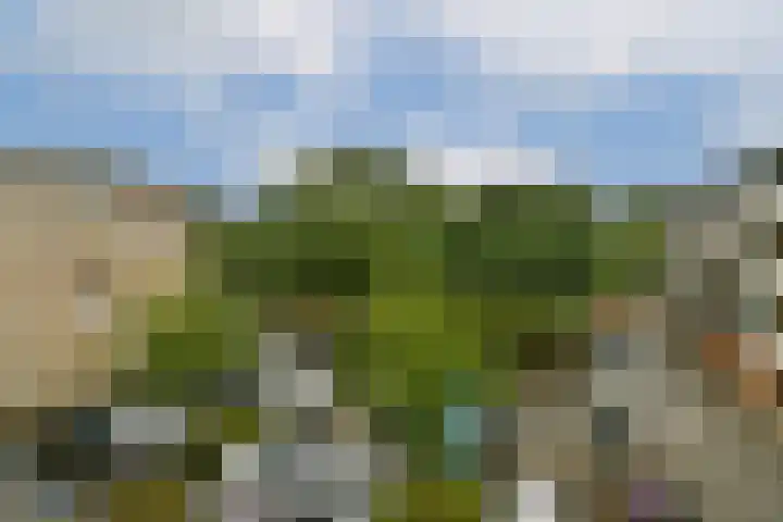 Julianaplantsoen 35 Diemen thumbnail 8