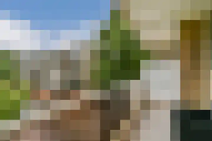 Julianaplantsoen 35 Diemen thumbnail 9