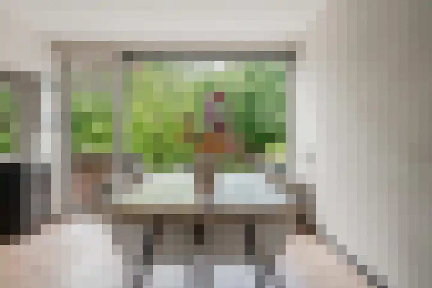 Julianaplantsoen 41 Diemen thumbnail 14