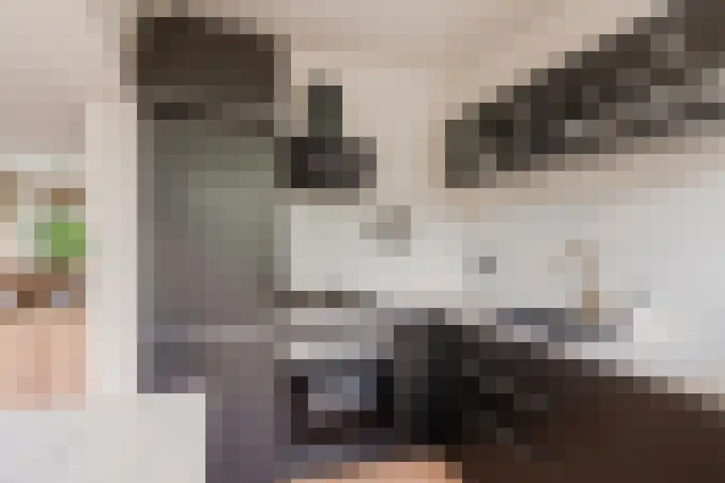 Julianaplantsoen 41 Diemen thumbnail 23