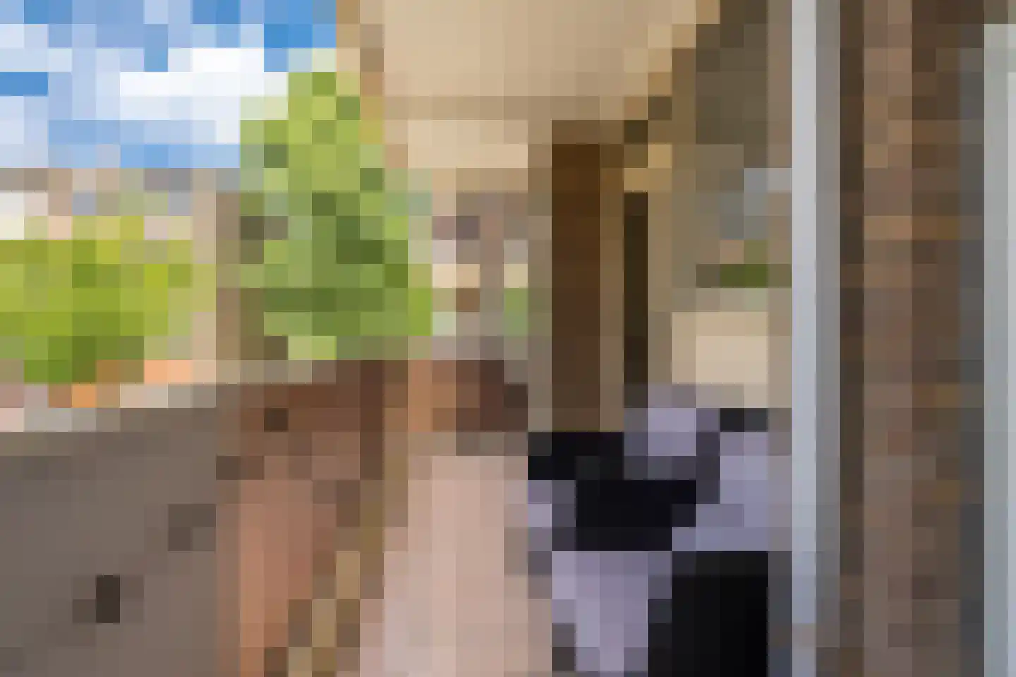 Julianaplantsoen 41 Diemen thumbnail 27