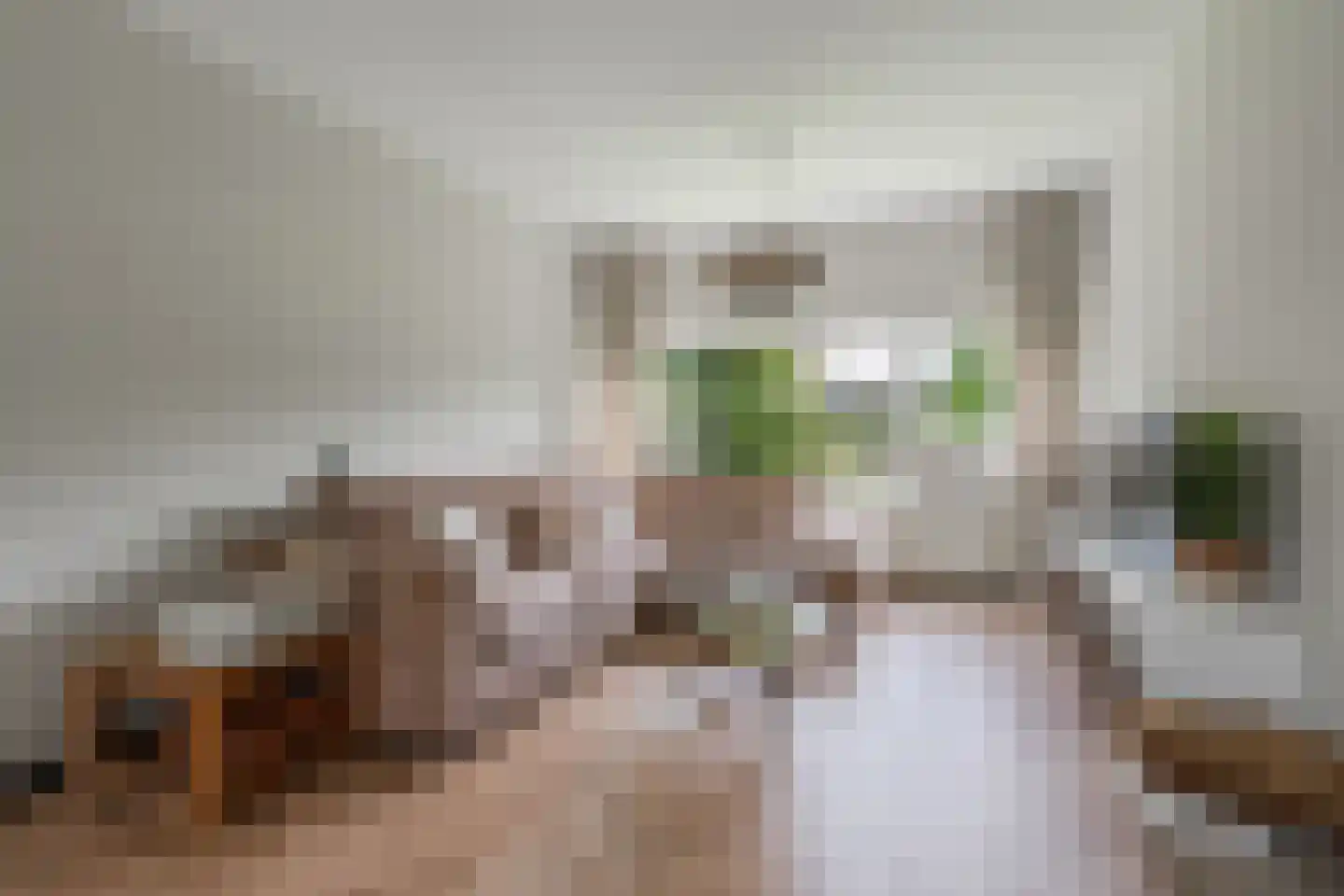 Julianaplantsoen 41 Diemen thumbnail 8
