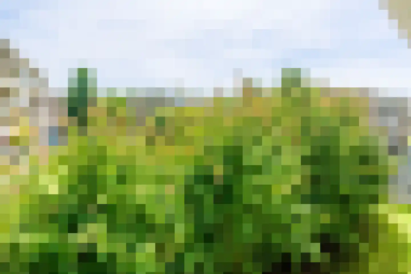 Julianaplantsoen 48 Diemen thumbnail 38