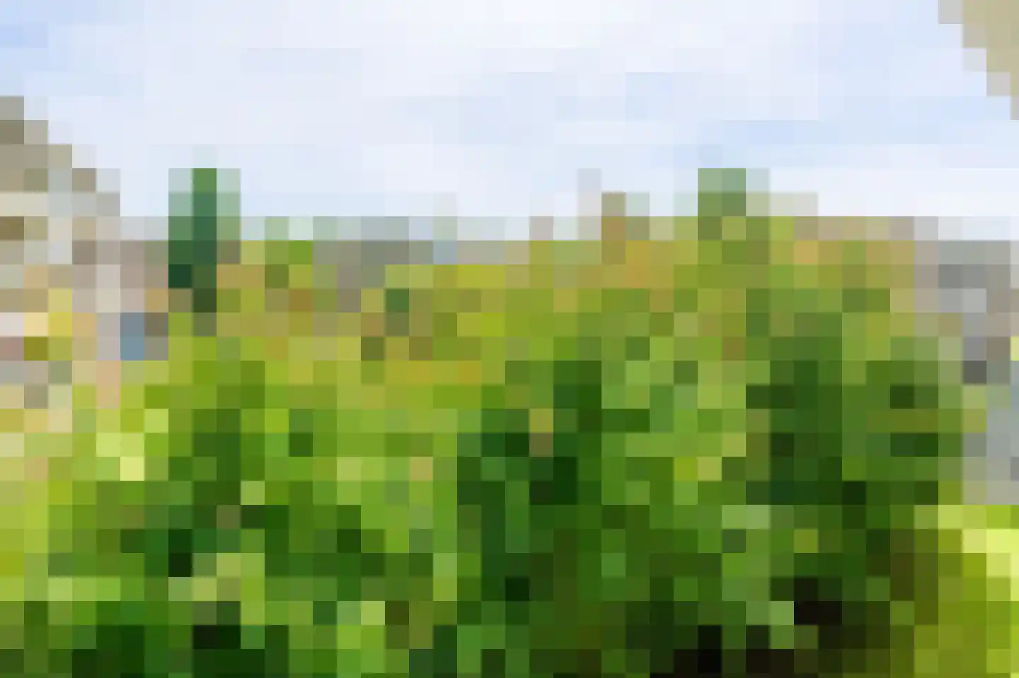 Julianaplantsoen 48 Diemen thumbnail 39