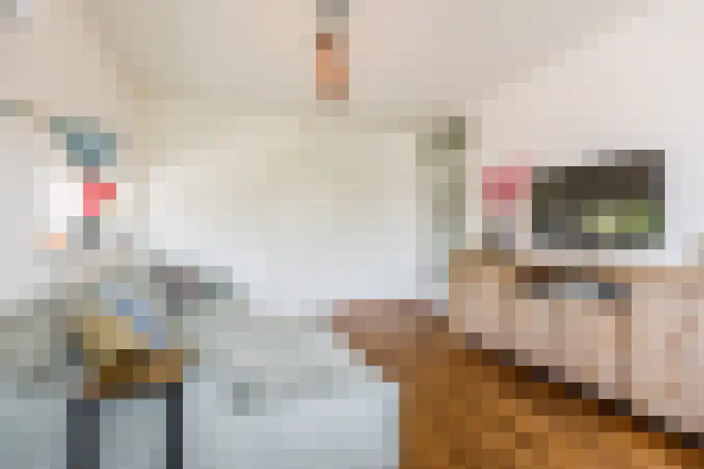 Julianaplantsoen 48 Diemen thumbnail 9