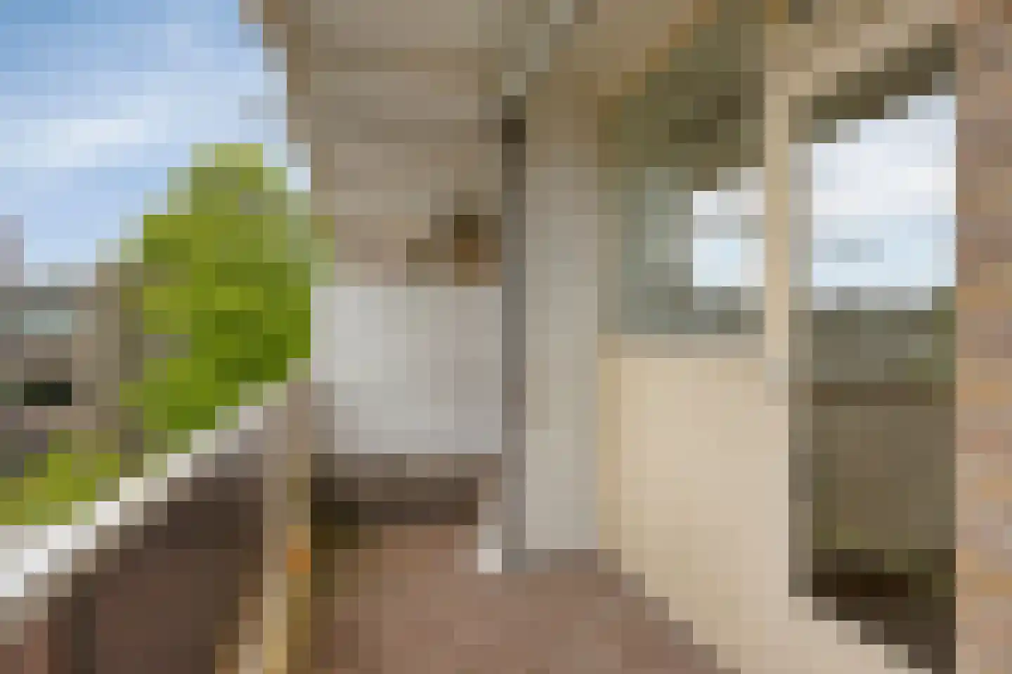 Julianaplantsoen 53 Diemen thumbnail 9